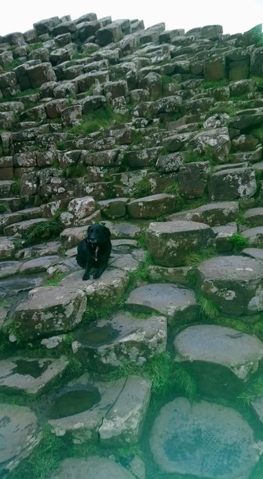 Dunseverick Ramblers Rest Бушмілс Екстер'єр фото